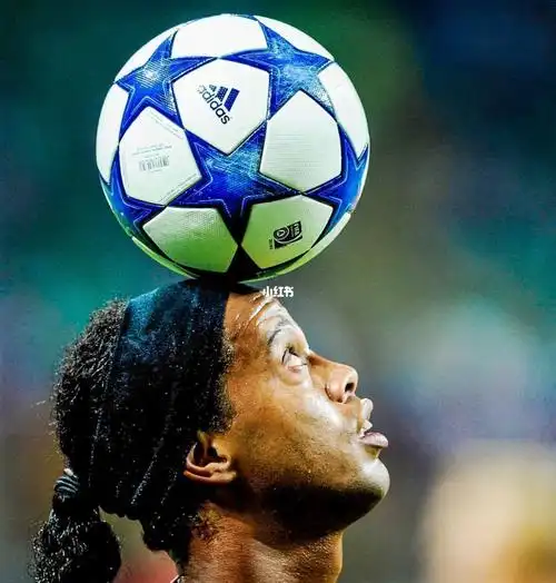 从而影响了 从而影响了